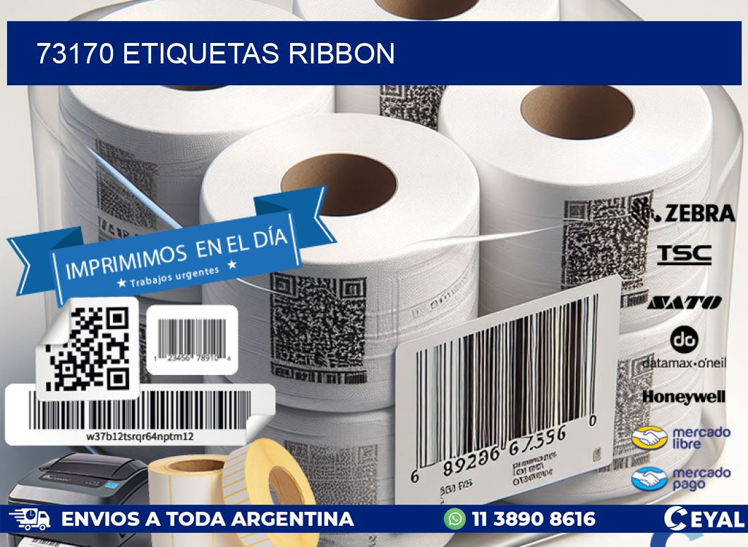 73170 ETIQUETAS RIBBON