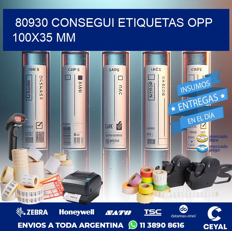 80930 CONSEGUI ETIQUETAS OPP 100X35 MM