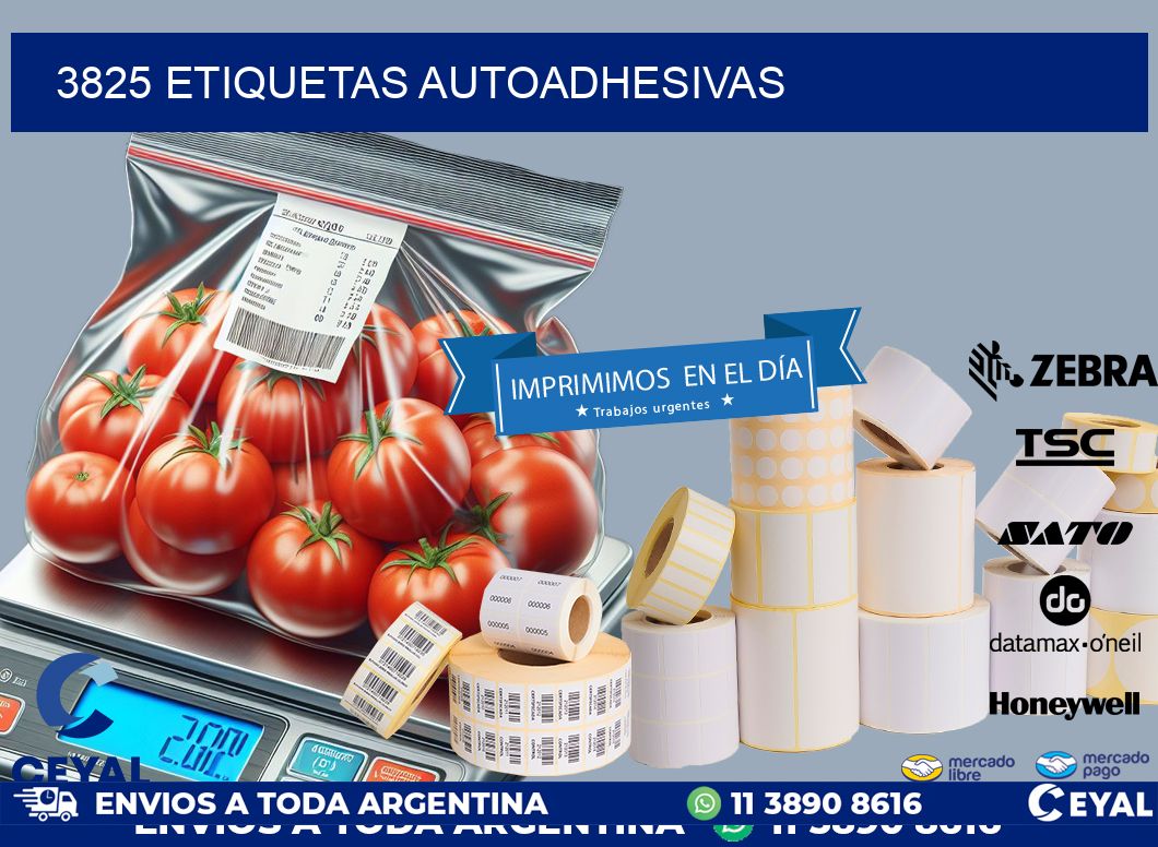 3825 ETIQUETAS AUTOADHESIVAS