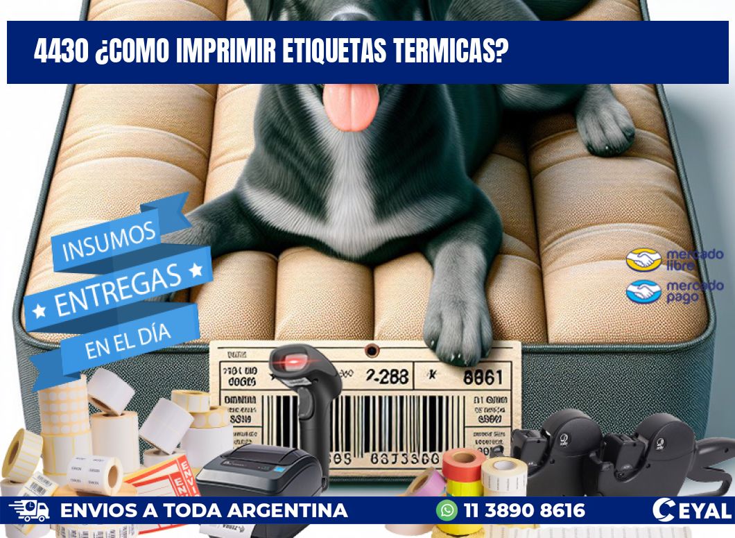 4430 ¿COMO IMPRIMIR ETIQUETAS TERMICAS?