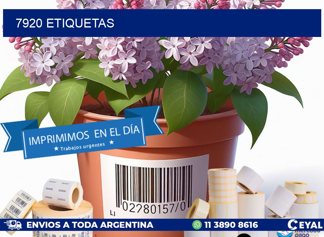 7920 ETIQUETAS
