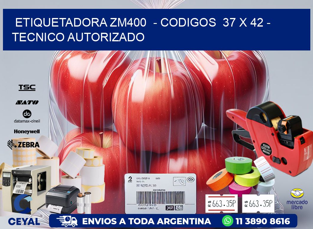 ETIQUETADORA ZM400  - CODIGOS  37 x 42 - TECNICO AUTORIZADO