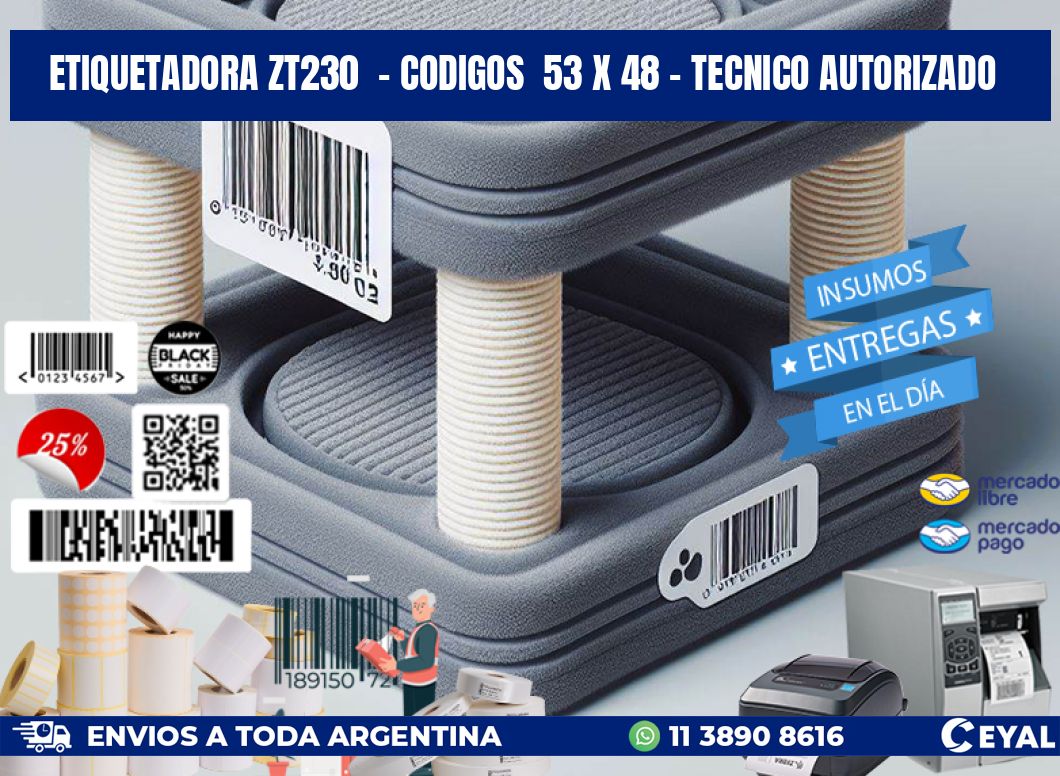 ETIQUETADORA ZT230 - CODIGOS 53 x 48 - TECNICO AUTORIZADO