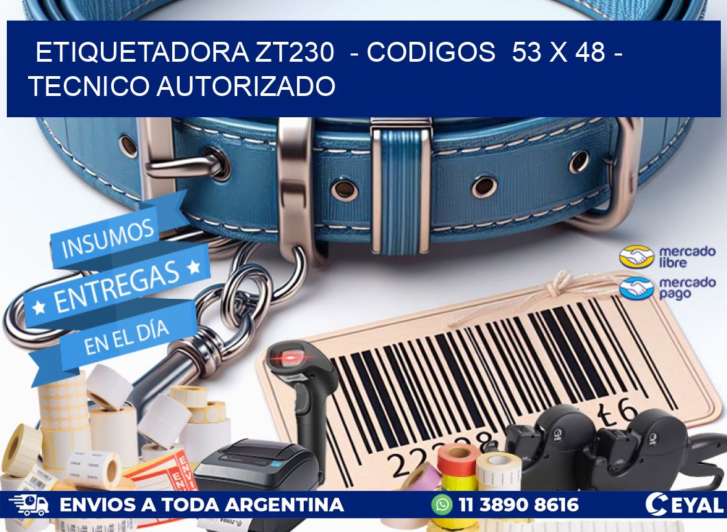 ETIQUETADORA ZT230  – CODIGOS  53 x 48 – TECNICO AUTORIZADO