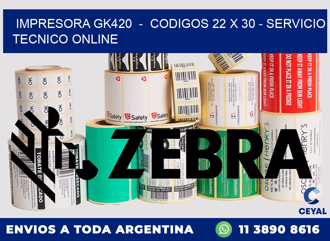 IMPRESORA GK420  -  CODIGOS 22 x 30 - SERVICIO TECNICO ONLINE