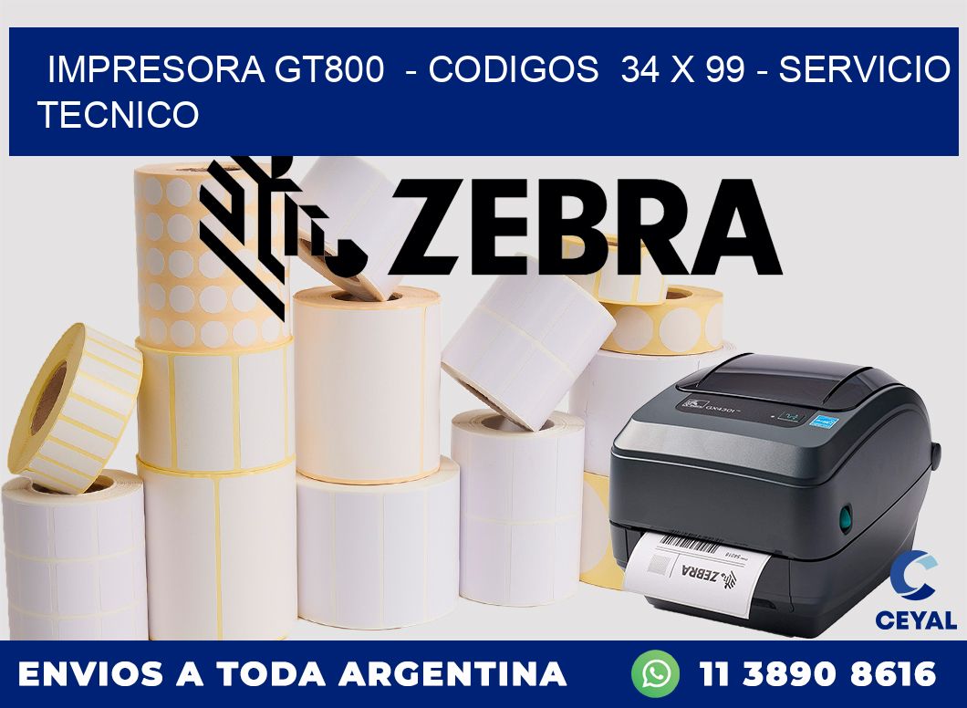 IMPRESORA GT800  - CODIGOS  34 x 99 - SERVICIO TECNICO