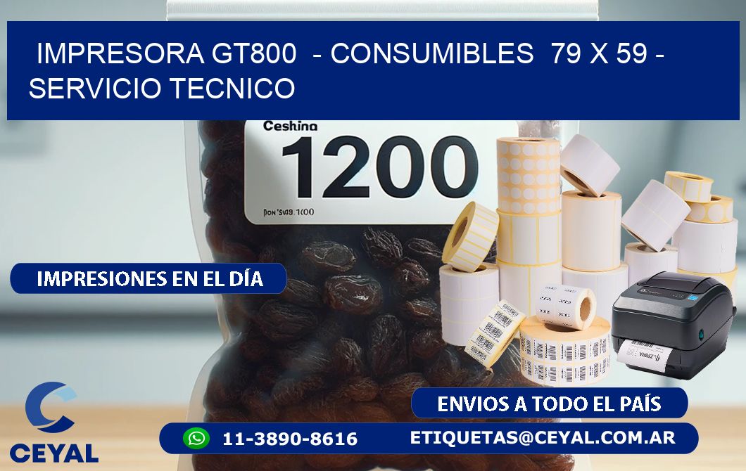 IMPRESORA GT800  - CONSUMIBLES  79 x 59 - SERVICIO TECNICO