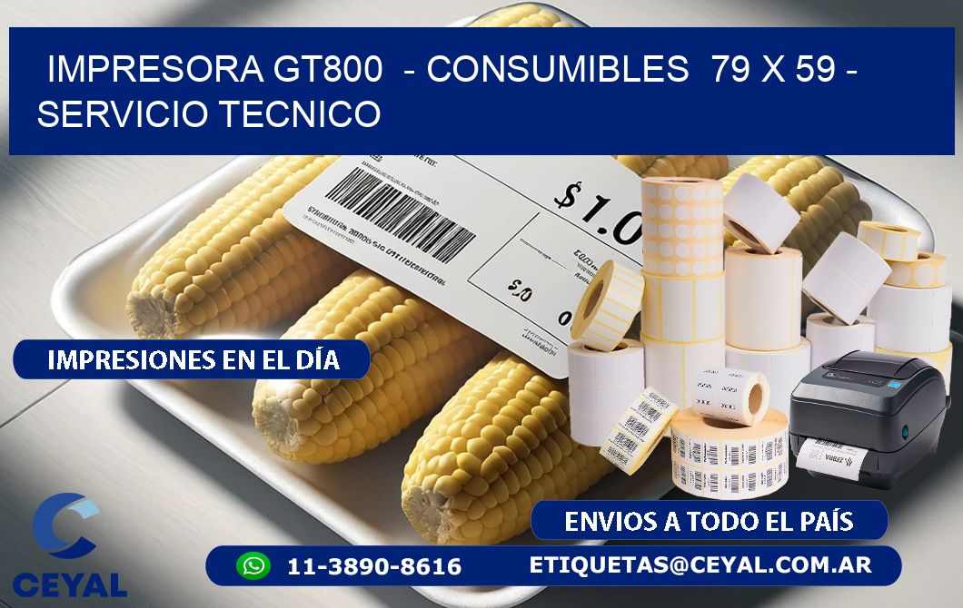 IMPRESORA GT800  - CONSUMIBLES  79 x 59 - SERVICIO TECNICO