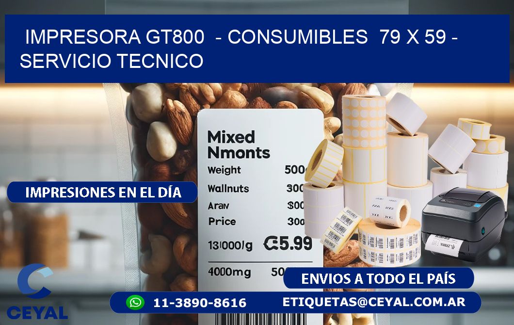 IMPRESORA GT800  – CONSUMIBLES  79 x 59 – SERVICIO TECNICO
