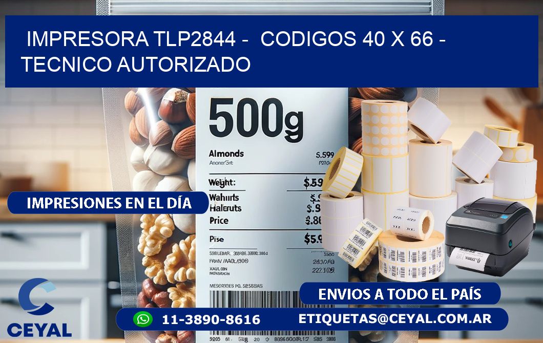 IMPRESORA TLP2844 -  CODIGOS 40 x 66 - TECNICO AUTORIZADO