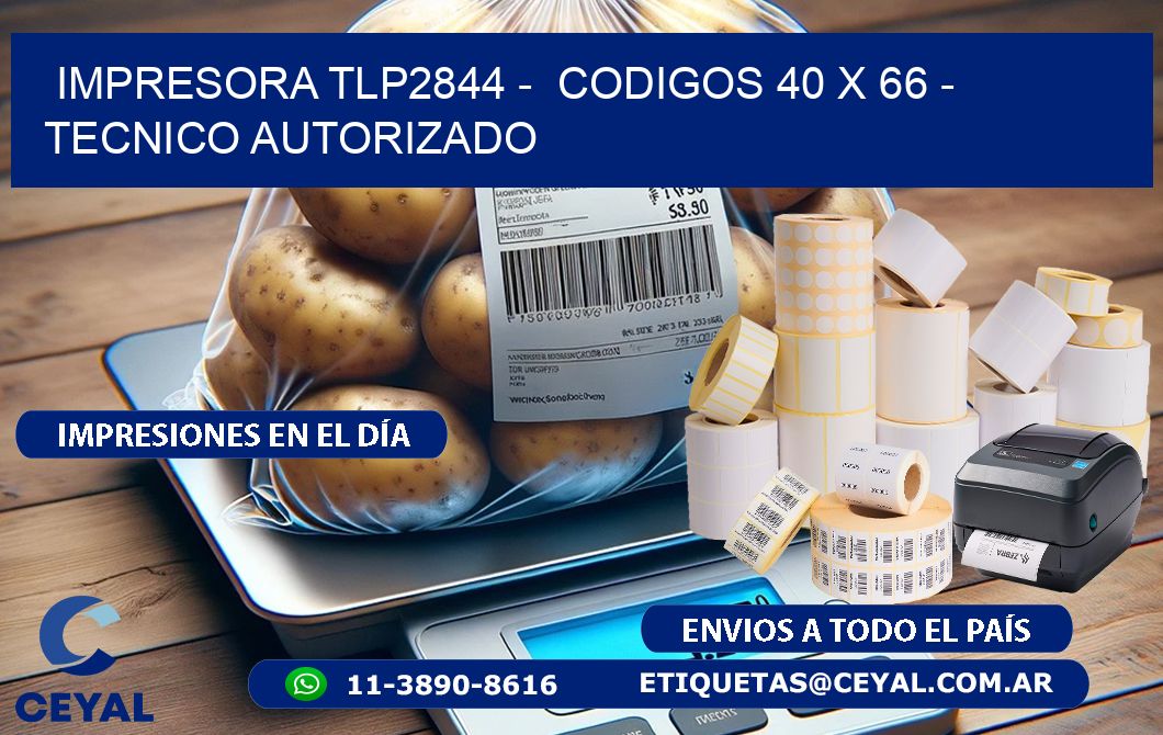 IMPRESORA TLP2844 –  CODIGOS 40 x 66 – TECNICO AUTORIZADO