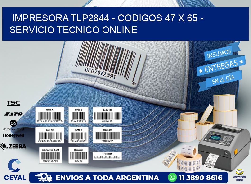 IMPRESORA TLP2844 - CODIGOS 47 x 65 - SERVICIO TECNICO ONLINE