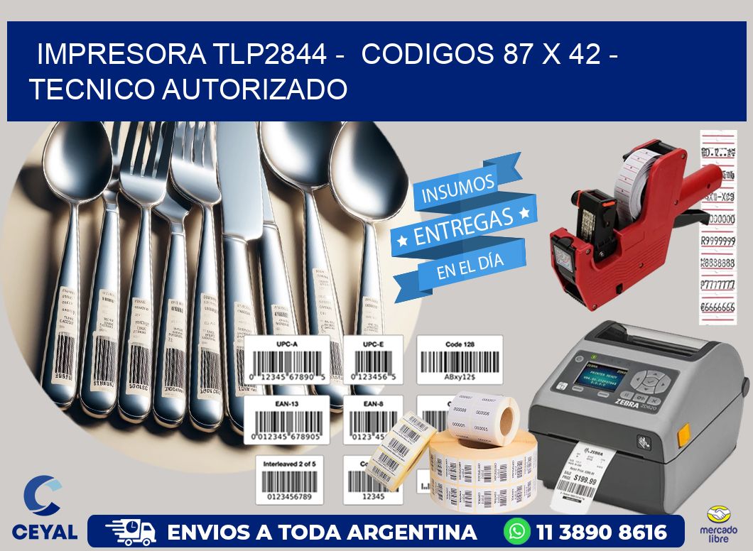 IMPRESORA TLP2844 -  CODIGOS 87 x 42 - TECNICO AUTORIZADO