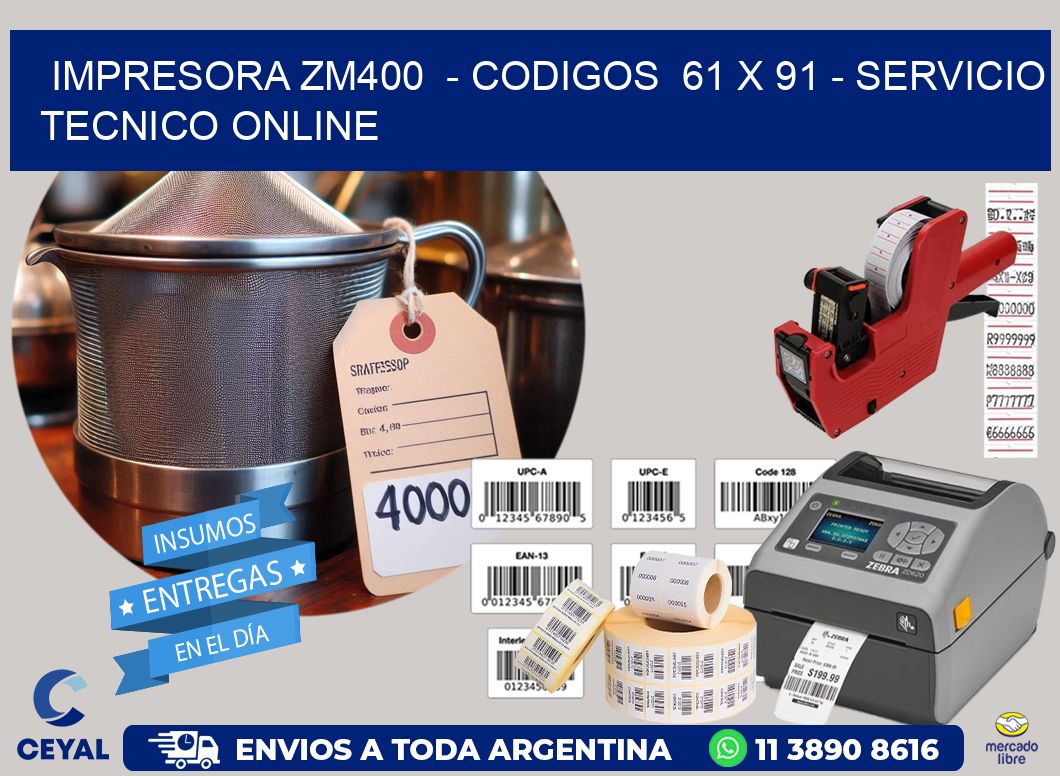 IMPRESORA ZM400 - CODIGOS 61 x 91 - SERVICIO TECNICO ONLINE