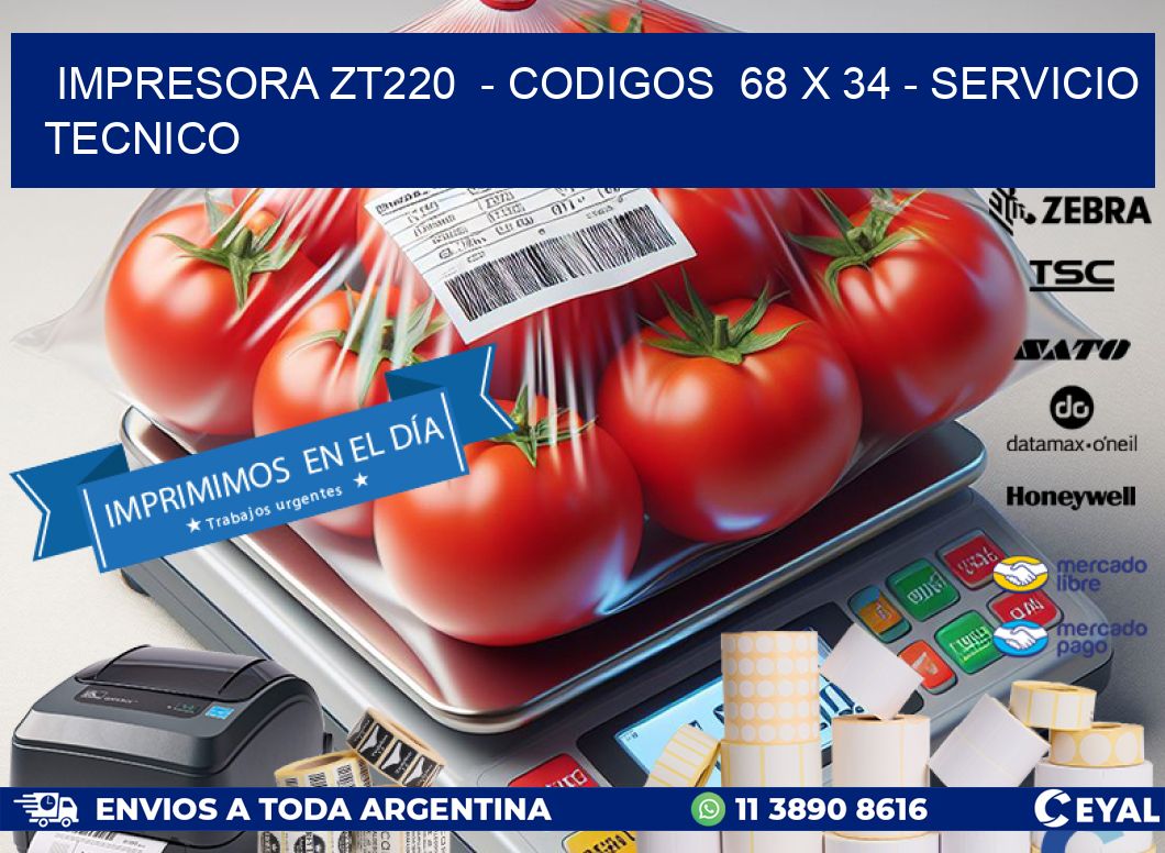 IMPRESORA ZT220  – CODIGOS  68 x 34 – SERVICIO TECNICO