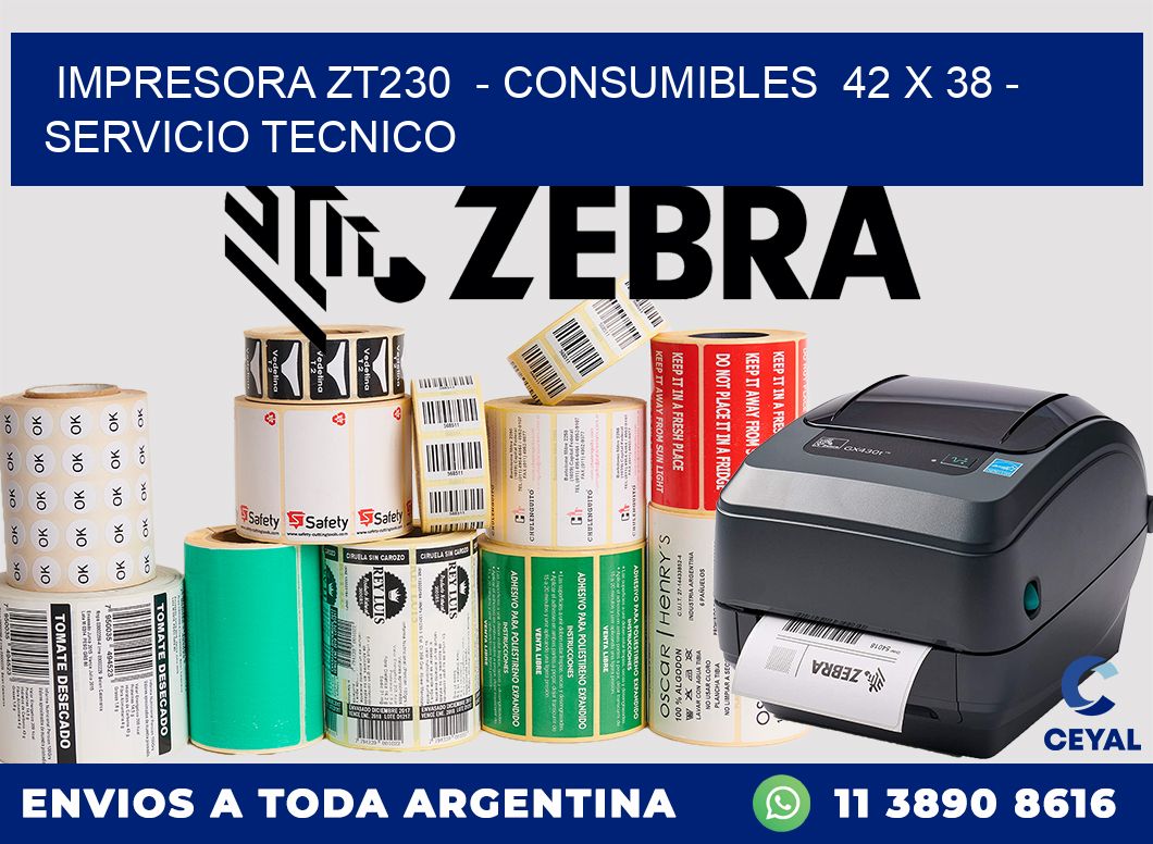 IMPRESORA ZT230  - CONSUMIBLES  42 x 38 - SERVICIO TECNICO