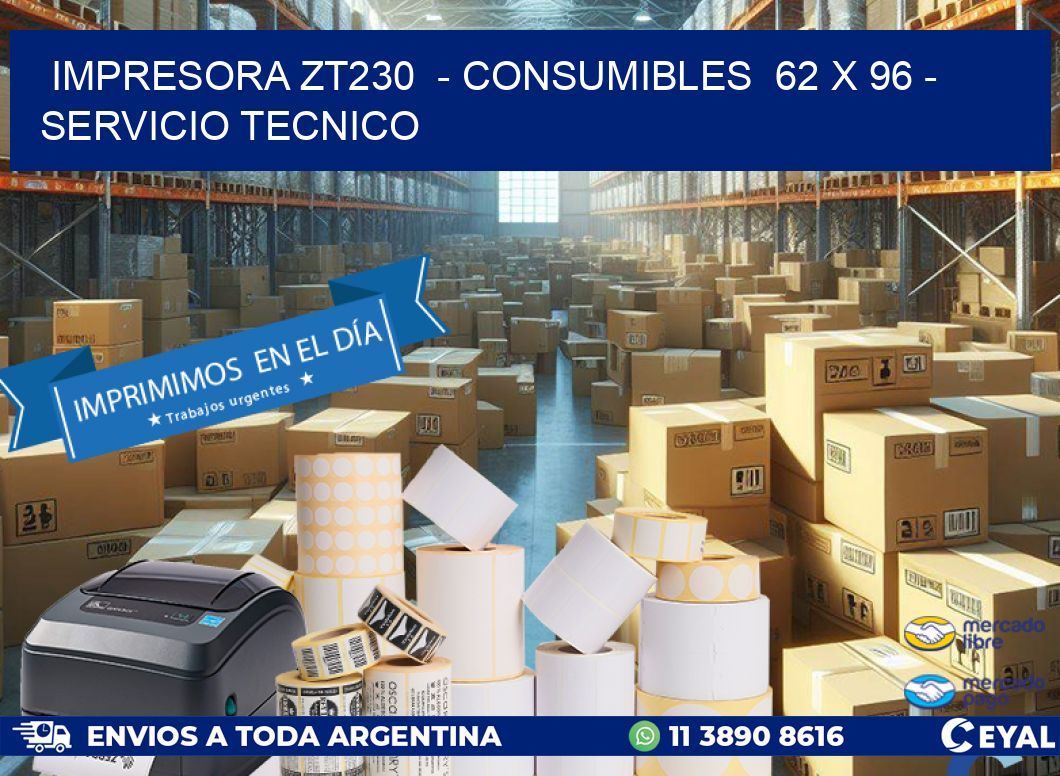 IMPRESORA ZT230  - CONSUMIBLES  62 x 96 - SERVICIO TECNICO