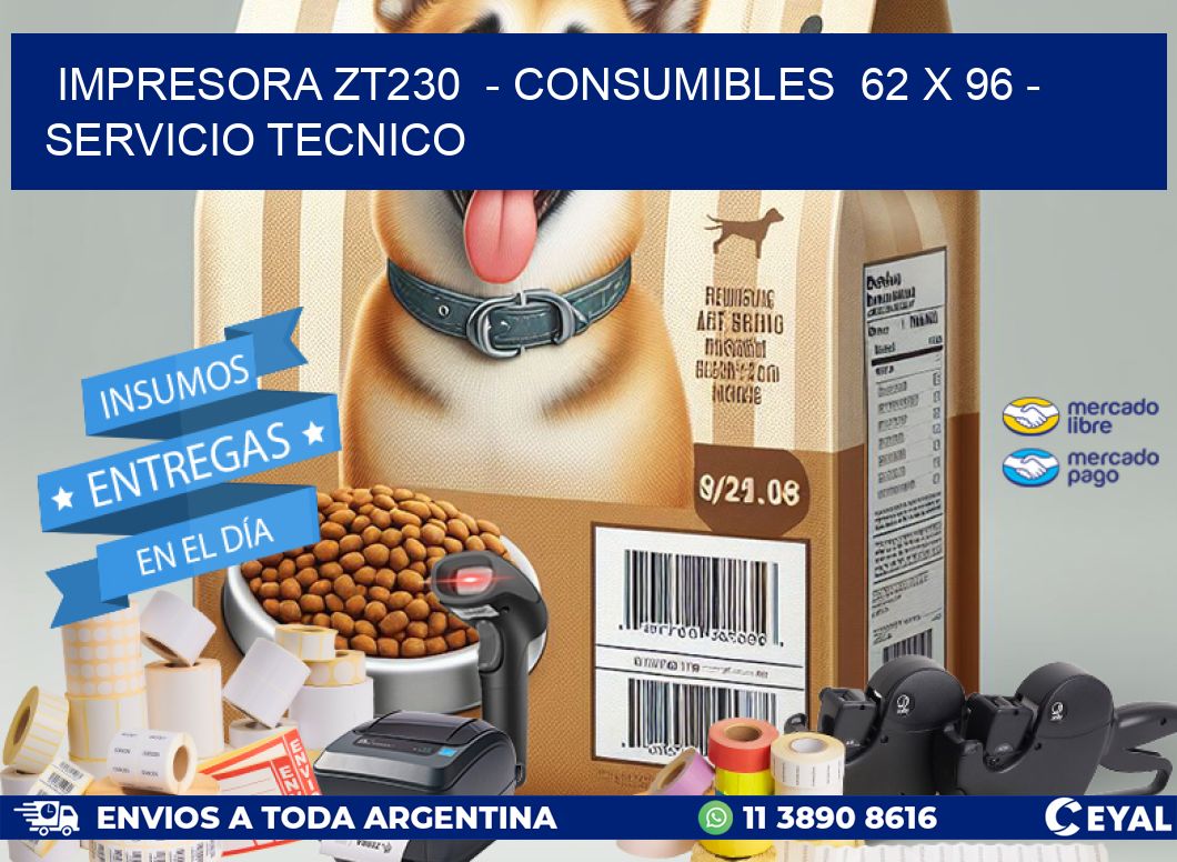 IMPRESORA ZT230  – CONSUMIBLES  62 x 96 – SERVICIO TECNICO