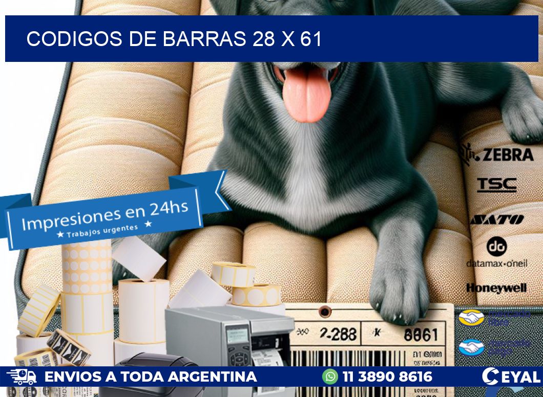 codigos de barras 28 x 61