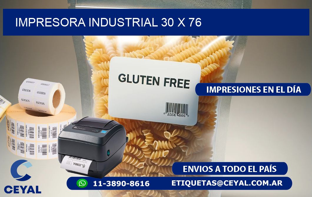 impresora industrial 30 x 76