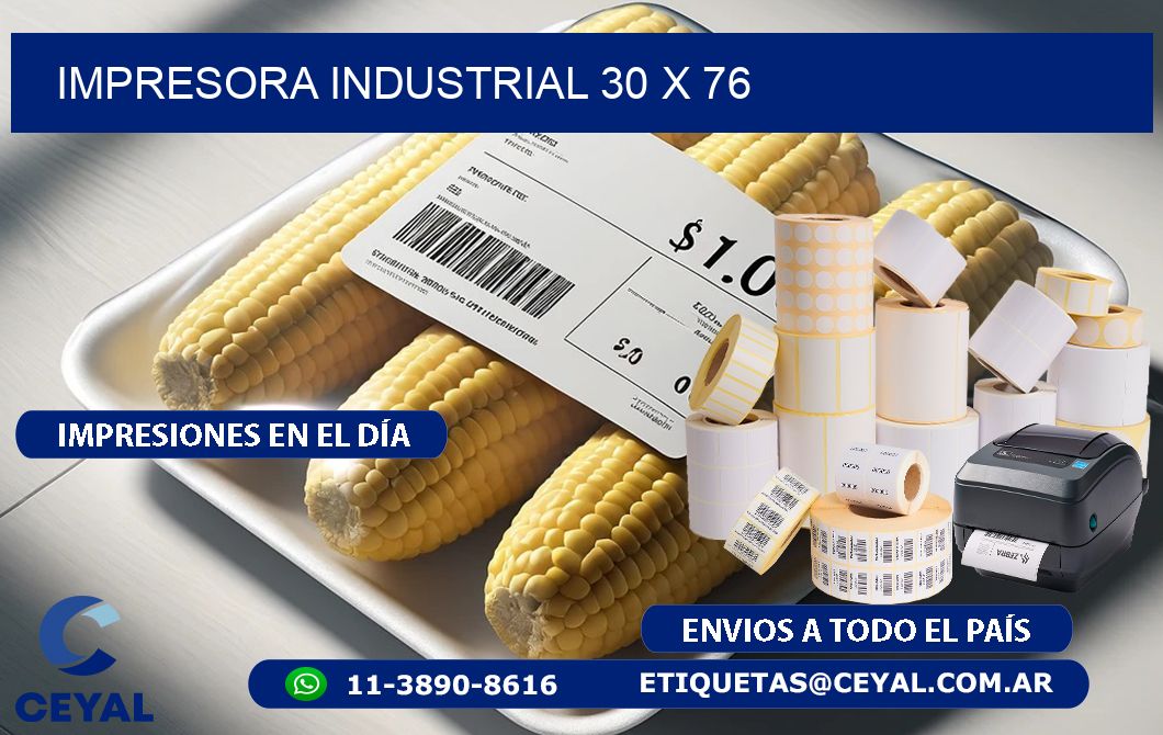 impresora industrial 30 x 76