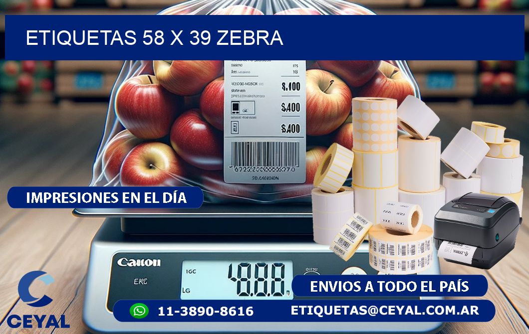 ETIQUETAS 58 x 39 ZEBRA