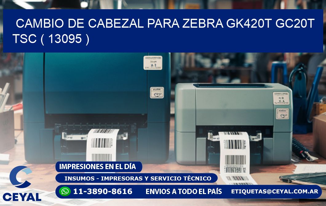 CAMBIO DE CABEZAL PARA ZEBRA GK420T GC20T TSC ( 13095 )