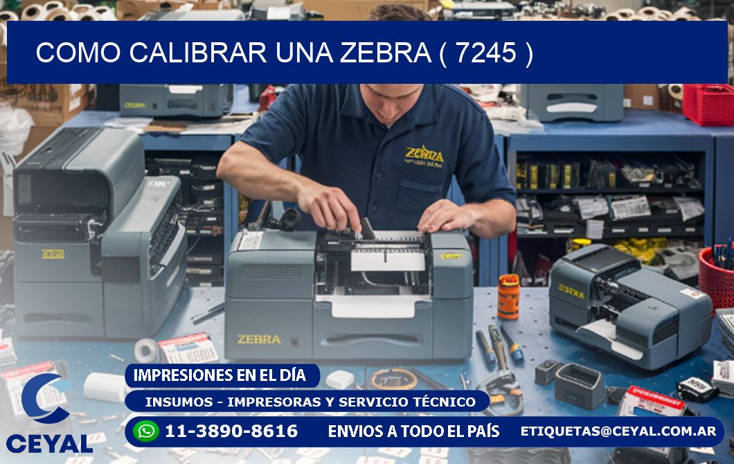 COMO CALIBRAR UNA ZEBRA ( 7245 )