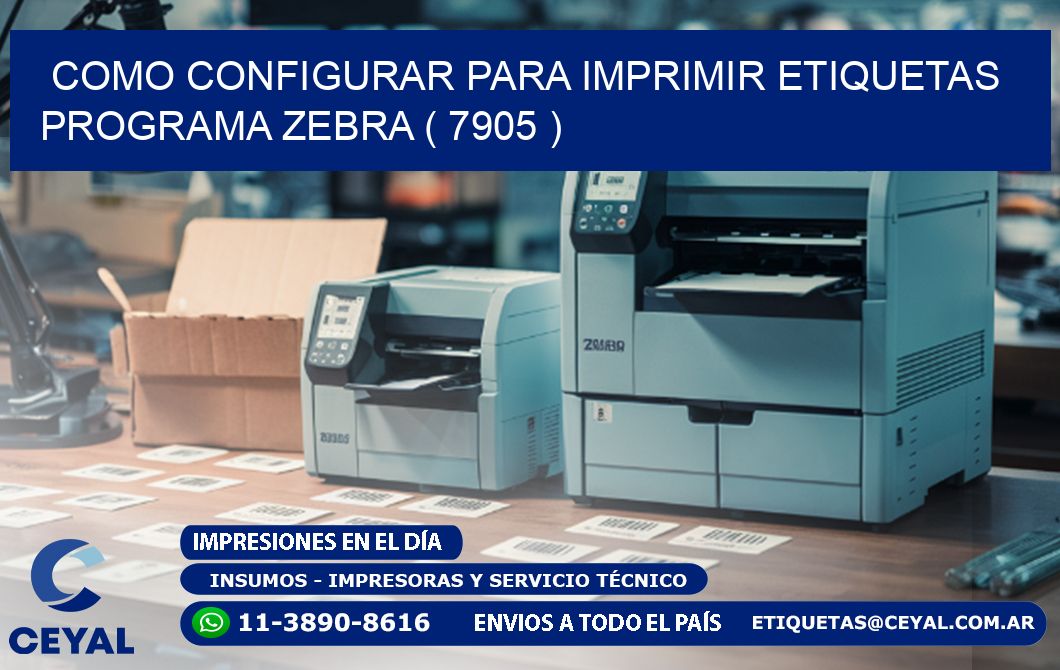 COMO CONFIGURAR PARA IMPRIMIR ETIQUETAS PROGRAMA ZEBRA ( 7905 )