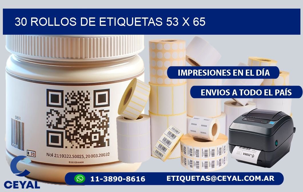 30 ROLLOS DE ETIQUETAS 53 x 65