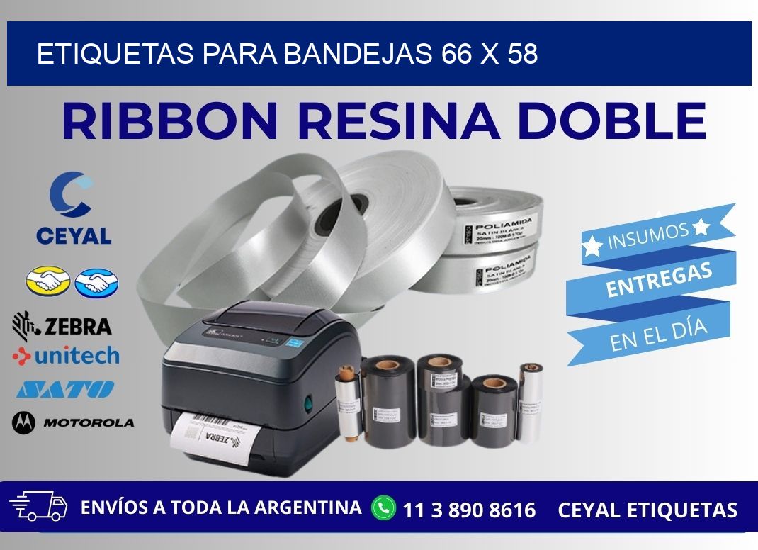 ETIQUETAS PARA BANDEJAS 66 x 58