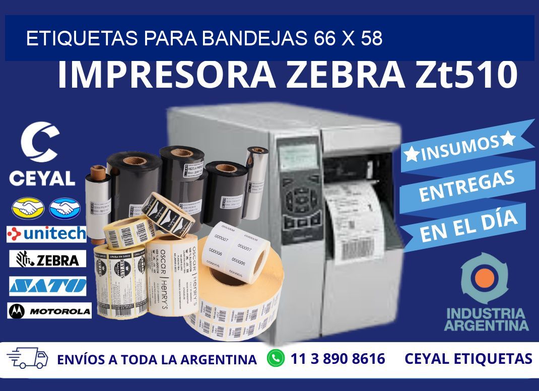 ETIQUETAS PARA BANDEJAS 66 x 58
