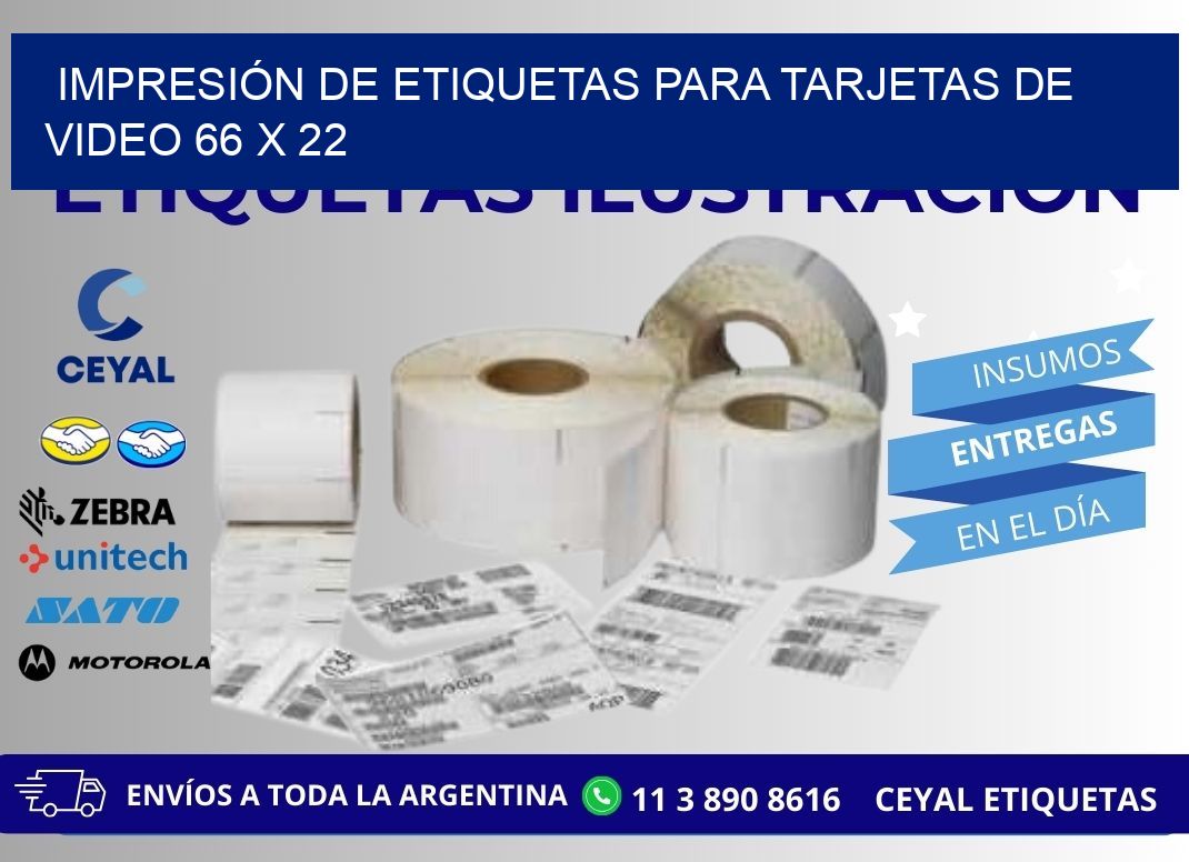 IMPRESIÓN DE ETIQUETAS PARA TARJETAS DE VIDEO 66 x 22