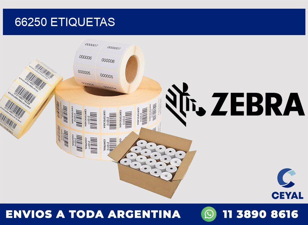 66250 ETIQUETAS