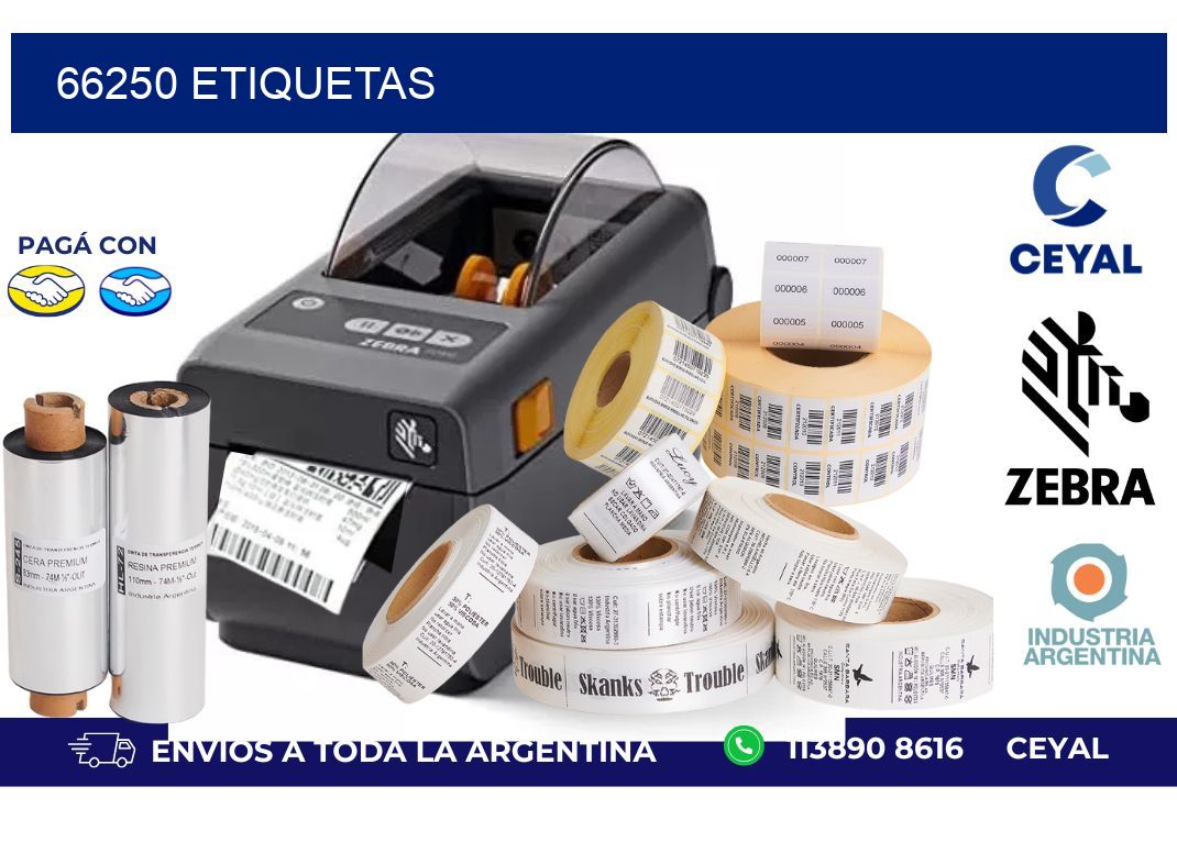 66250 ETIQUETAS