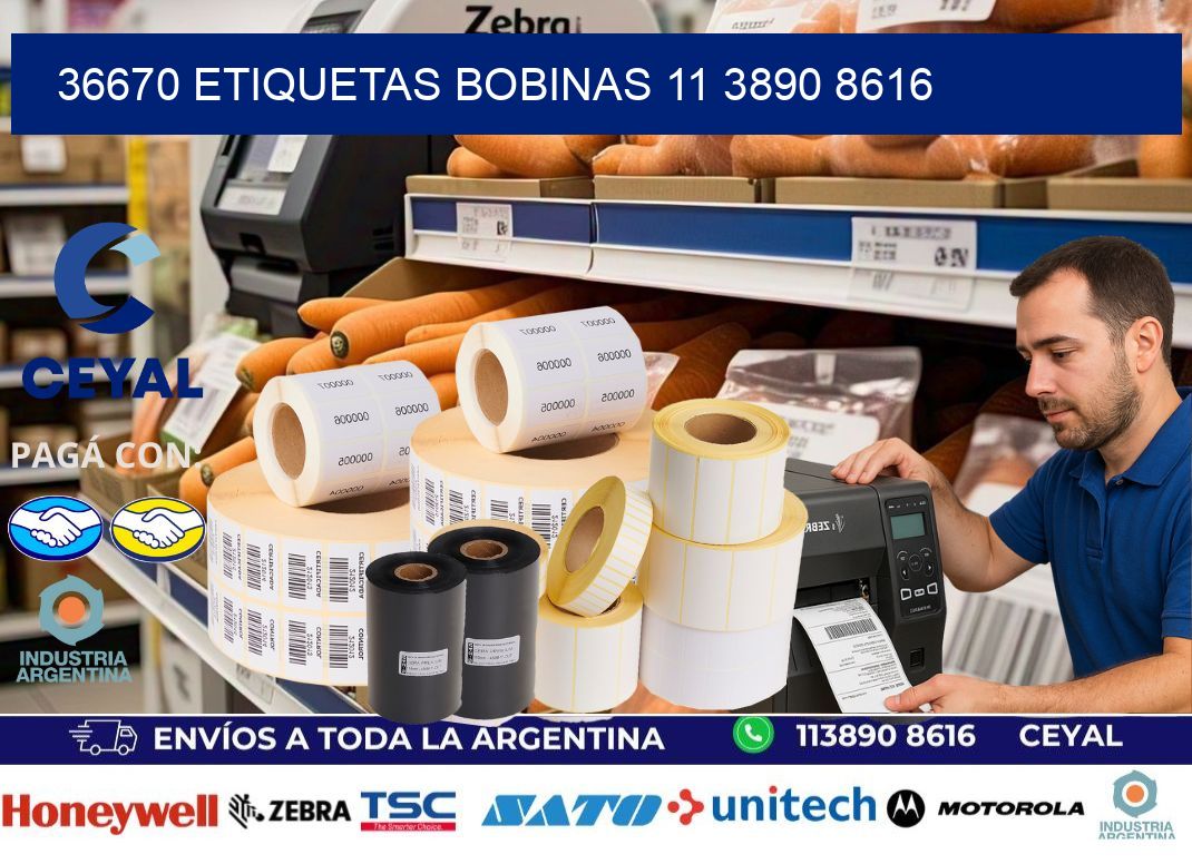 36670 ETIQUETAS BOBINAS 11 3890 8616