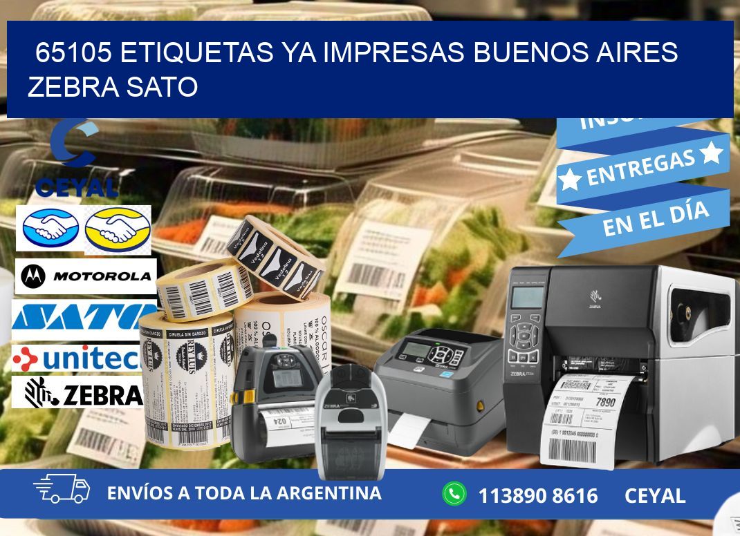 65105 ETIQUETAS YA IMPRESAS BUENOS AIRES ZEBRA SATO