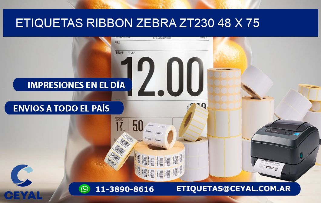 ETIQUETAS RIBBON Zebra ZT230 48 x 75