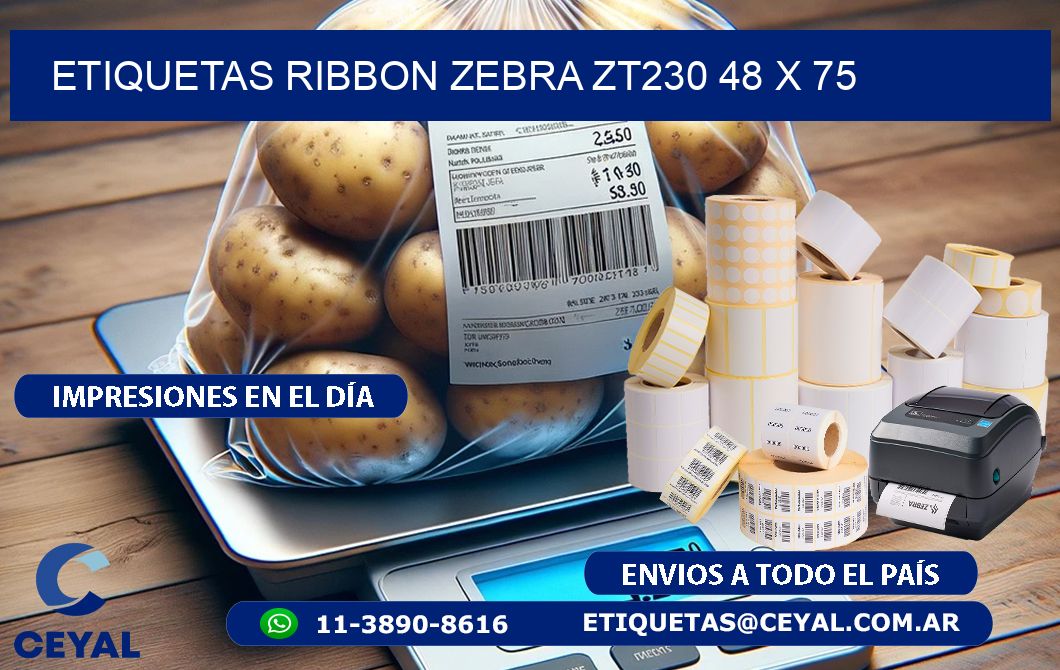 ETIQUETAS RIBBON Zebra ZT230 48 x 75