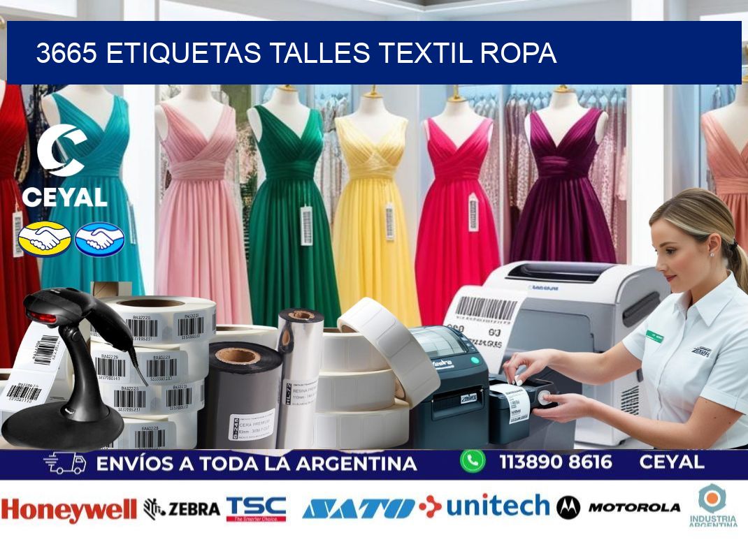3665 ETIQUETAS TALLES TEXTIL ROPA