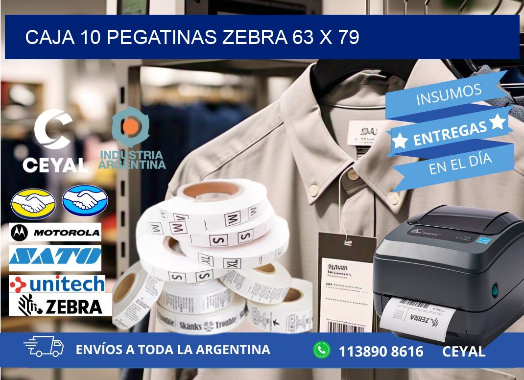 CAJA 10 PEGATINAS ZEBRA 63 x 79