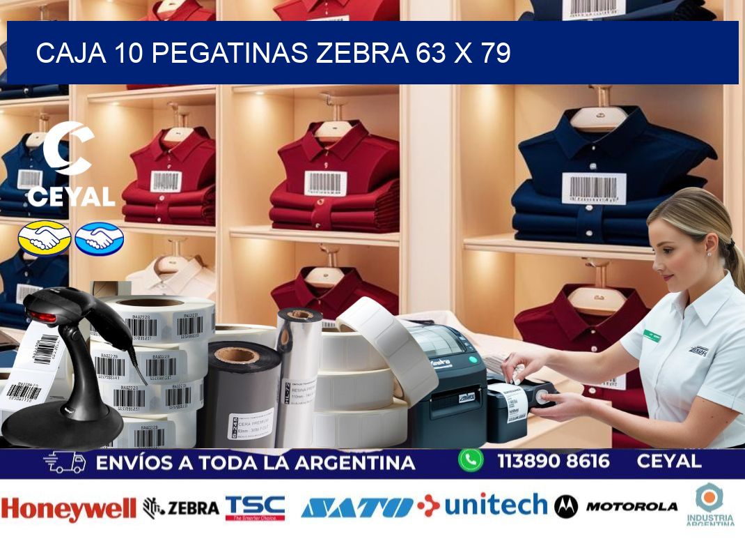 CAJA 10 PEGATINAS ZEBRA 63 x 79
