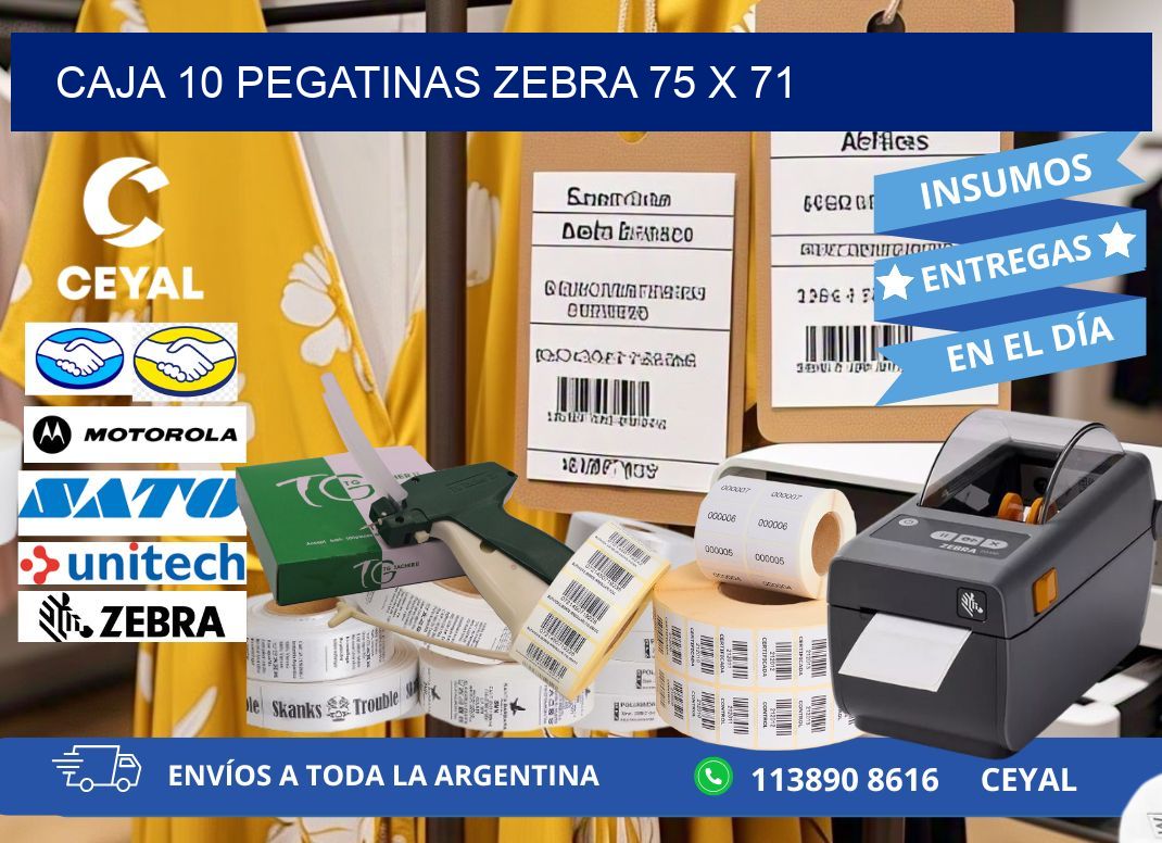 CAJA 10 PEGATINAS ZEBRA 75 x 71