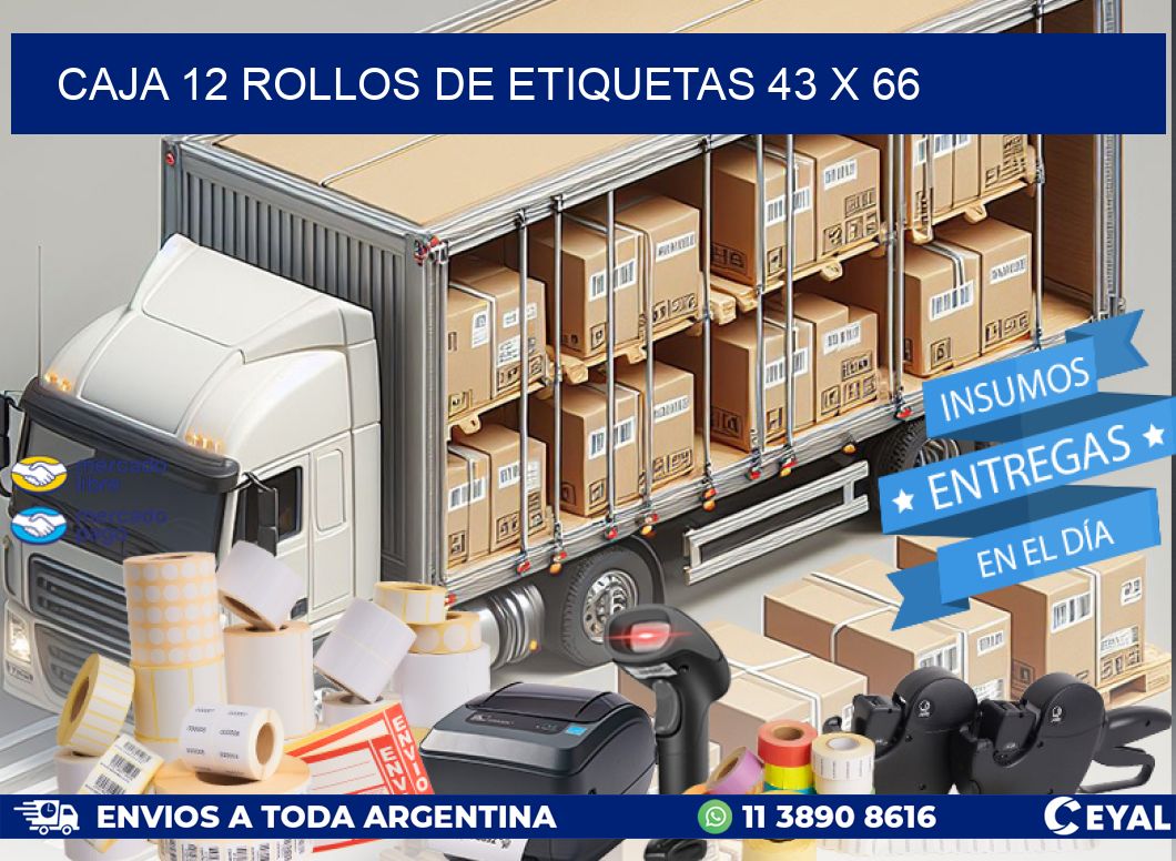 CAJA 12 ROLLOS DE ETIQUETAS 43 x 66