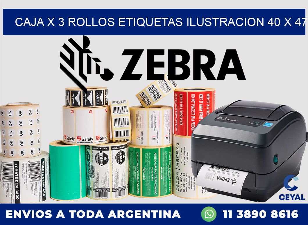 Caja X 3 Rollos Etiquetas Ilustracion 40 x 47
