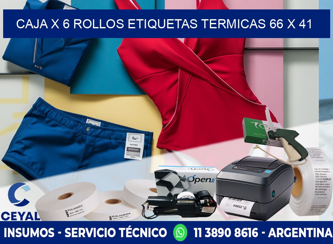 Caja X 6 Rollos Etiquetas termicas 66 x 41