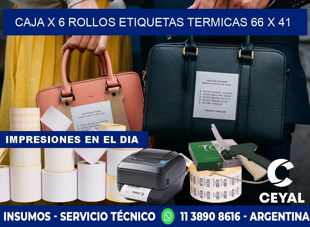 Caja X 6 Rollos Etiquetas termicas 66 x 41