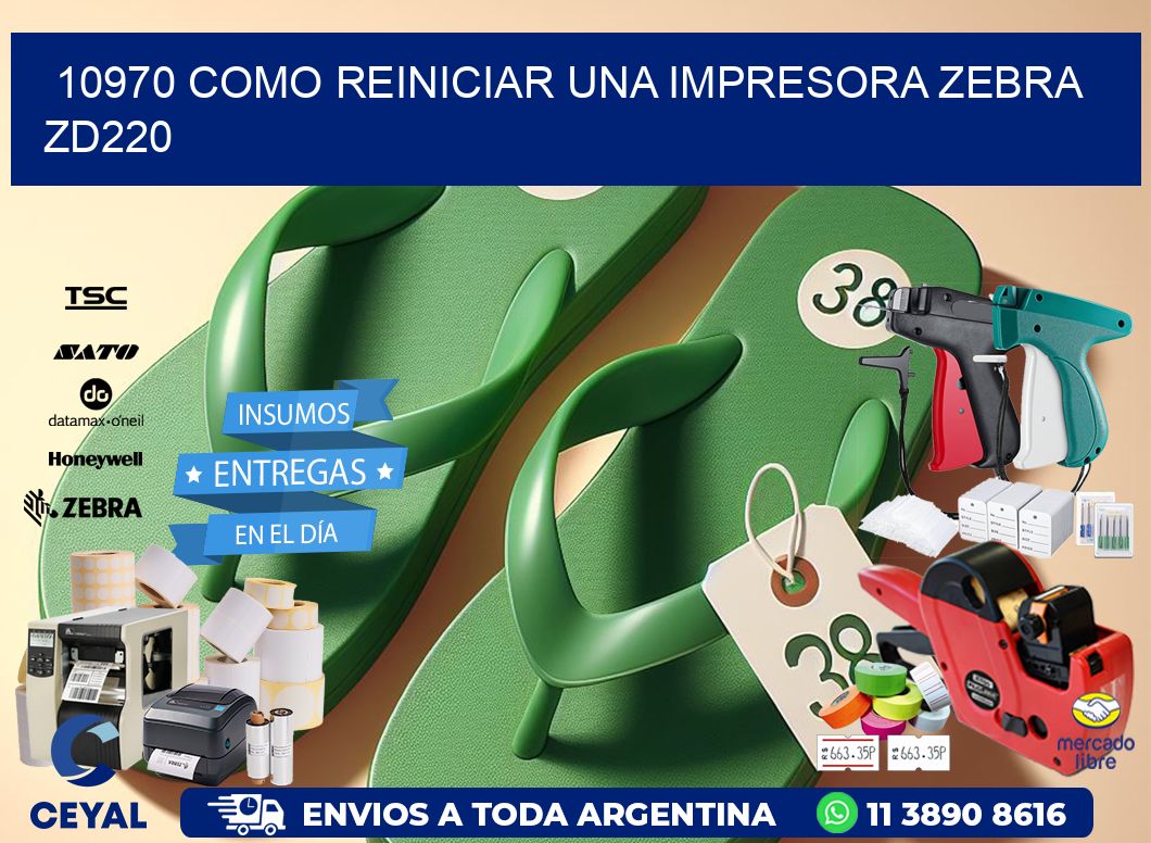 10970 Como reiniciar una impresora Zebra  ZD220