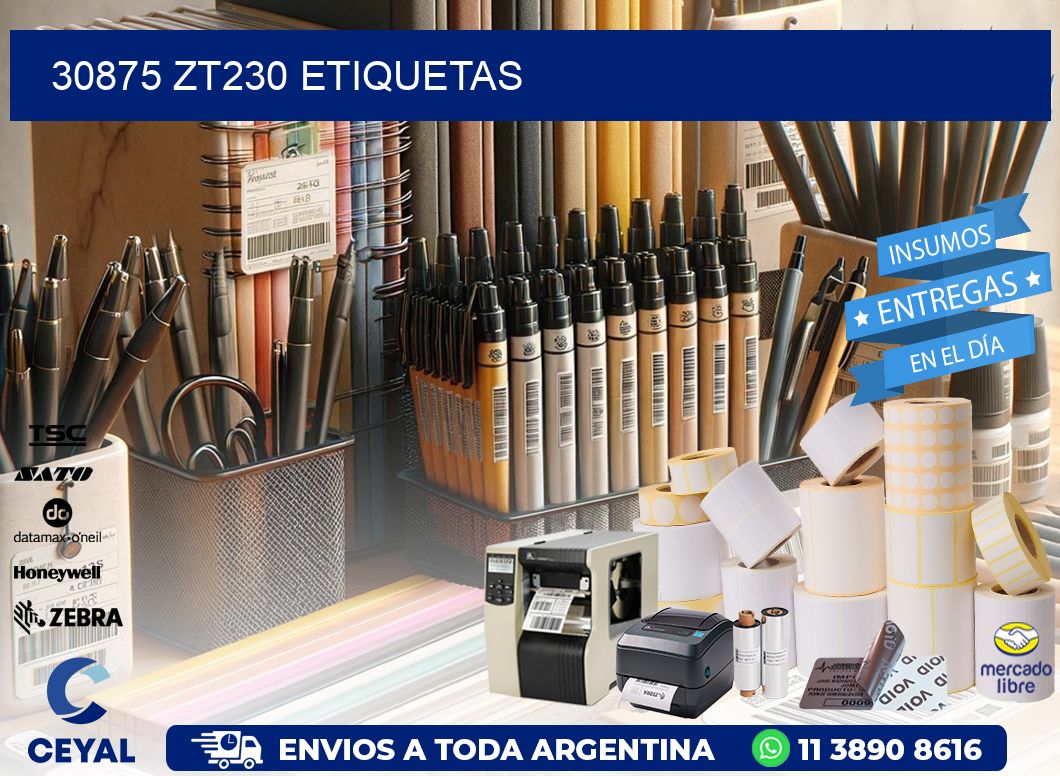 30875 ZT230 etiquetas