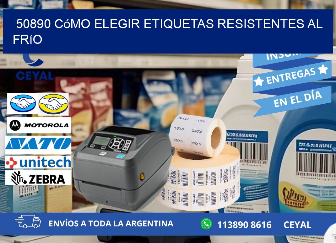 50890 cómo elegir etiquetas resistentes al frío